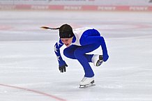 Eishockey, Herren, DEL, Saison 2023-2024, ERC Ingolstadt - Showtraining, 13.08.2023