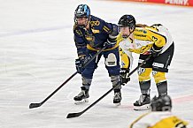 Eishockey, Frauen, DFEL, Saison 2022-2023, ERC Ingolstadt - Mad Dogs Mannheim, 20.11.2022