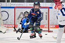 Eishockey, Saison 2025-2026, ERC Ingolstadt - Kids On Ice Day, 10.01.2026