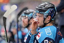 Eishockey, Herren, DEL, Saison 2022-2023, Playoff-Halbfinale - Spiel 3, ERC Ingolstadt - Adler Mannheim, 04.04.2023