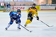 Eishockey, Herren, U20 DNL, Saison 2025-2026, Halbfinale - Spiel 2, ERC Ingolstadt - Krefelder EV 81, 15.03.2026