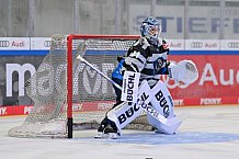 Eishockey, Herren, DEL, Saison 2024-2025, Vorbereitung, ERC Ingolstadt - Dresdner Eislöwen, 18.08.2024