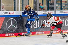 Eishockey, Frauen, DFEL, Saison 2024-2025, ERC Ingolstadt - EC Bergkamener Bären, 05.01.2025