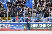 Eishockey, Herren, DEL, Saison 2024-2025, Spieltag 36, ERC Ingolstadt - Kölner Haie, 12.01.2025