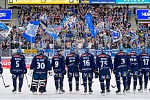 Eishockey, Herren, DEL, Saison 2024-2025, Spieltag 41, ERC Ingolstadt - Eisbären Berlin, 26.02.2025