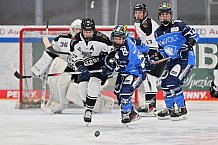 Eishockey, Frauen, DFEL, Saison 2023-2024, ERC Ingolstadt - Amsterdam Tigers, 06.01.2024