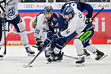 Eishockey, Herren, DEL, Saison 2024-2025, Spieltag 49, ERC Ingolstadt - Straubing Tigers, 28.02.2025
