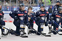 Eishockey, Herren, DEL, Saison 2024-2025, Spieltag 15, ERC Ingolstadt - Augsburger Panther, 03.11.2024