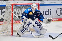 Eishockey, Herren, U20 DNL, Saison 2025-2026, ERC Ingolstadt - Krefeld Pinguine, 10.01.2026