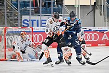 Eishockey, Herren, DEL, Saison 2022-2023, Spieltag 25, ERC Ingolstadt - Grizzlys Wolfsburg, 29.11.2022