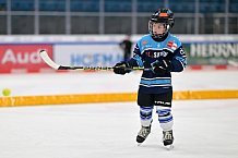 Eishockey, Herren, DEL, Saison 2023-2024, ERC Ingolstadt - Kids on Ice Day, 30.09.2023