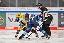Eishockey, Frauen, DFEL, Halbfinale, Saison 2022-2023, ERC Ingolstadt - Mad Dogs Mannheim, 25.02.2023