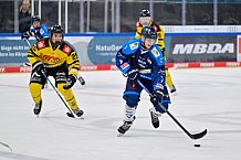 Eishockey, Herren, U20 DNL, Saison 2025-2026, ERC Ingolstadt - Krefeld Pinguine, 10.01.2026