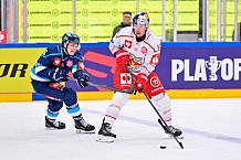 Hockey, Mens, CHL, Season 2025-2026, Regular Season, Round of 16, ERC Ingolstadt - EC Red Bull Salzburg, 12.11.2025