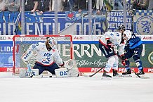 Eishockey, Herren, DEL, Saison 2024-2025, Spieltag 32, ERC Ingolstadt - Adler Mannheim, 30.12.2024