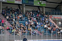 Eishockey, Herren, DEL, Saison 2024-2025, ERC Ingolstadt - Showtraining für Dauerkartenbesitzer, 04.08.2024