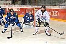 ERC Ingolstadt vs Straubing Tigers, Eishockey, DEL, Deutsche Eishockey Liga, Spieltag 41, 24.01.2017