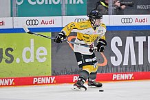 Eishockey, Frauen, DFEL, Saison 2022-2023, ERC Ingolstadt - Mad Dogs Mannheim, 19.11.2022