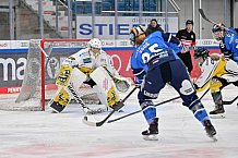 Eishockey, Frauen, DFEL, Saison 2023-2024, ERC Ingolstadt - Mad Dogs Mannheim, 18.02.2024