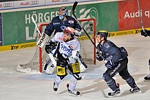 ERC Ingolstadt vs Schwenninger Wild Wings, Eishockey, DEL, Deutsche Eishockey Liga, 22.01.2016
