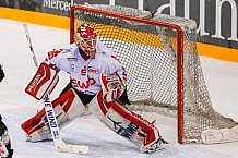 ERC Ingolstadt - Fischtown Pinguins Bremerhaven,, Eishockey, DEL, Deutsche Eishockey Liga, Preplayoff, Spiel 1, 01.03.2016