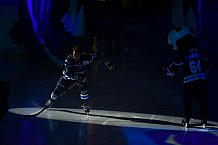 ERC Ingolstadt vs Schwenninger Wild Wingsam 19.02.2019, Spieltag 48