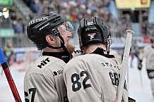 Eishockey, Herren, DEL, Saison 2023-2024, Spieltag 51, ERC Ingolstadt - Kölner Haie, 03.03.2024