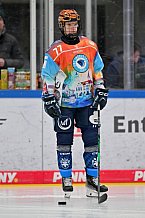 Eishockey, Frauen, DFEL, Saison 2024-2025, ERC Ingolstadt - EC Bergkamener Bären, 04.01.2025