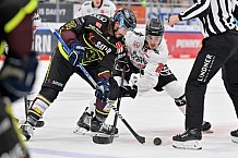 Eishockey, Herren, DEL, Saison 2022-2023, Spieltag 10, ERC Ingolstadt - Kölner Haie, 13.10.2022