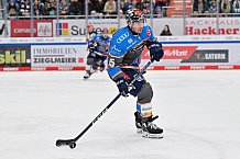 Eishockey, Herren, DEL, Saison 2023-2024, Spieltag 38, ERC Ingolstadt - Adler Mannheim, 14.01.2024