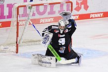 Eishockey, Herren, DEL, Saison 2020-2021, Straubing Tigers - ERC Ingolstadt, 31.01.2021