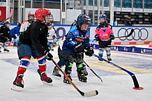 Eishockey, Saison 2025-2026, ERC Ingolstadt - Kids On Ice Day, 29.11.2025