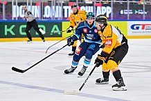 Hockey, Mens, CHL, Season 2025-2026, Regular Season, Game Day 2, ERC Ingolstadt - Kalpa Kuopio, 30.08.2025