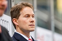 ERC Ingolstadt - Koelner Haie, Eishockey, DEL, Deutsche Eishockey Liga, Spieltag 44, 07.02.2016