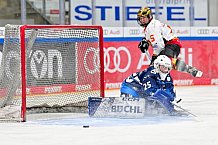 Eishockey, Frauen, DFEL, Saison 2024-2025, ERC Ingolstadt - EC Bergkamener Bären, 04.01.2025