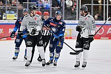 Eishockey, Herren, DEL, Saison 2024-2025, Spieltag 36, ERC Ingolstadt - Kölner Haie, 12.01.2025