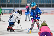 Eishockey, Saison 2025-2026, ERC Ingolstadt - Kids On Ice Day, 29.11.2025