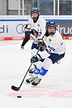 Eishockey, Frauen, DFEL, Saison 2026-2027, Testspiel, ERC Ingolstadt - ZSC Lions Zürich, 05.09.2026