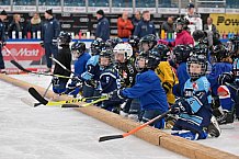 Eishockey, Herren, DEL, Saison 2023-2024, ERC Ingolstadt - Kids on Ice Day, 18.11.2023