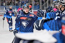 Eishockey, Herren, DEL, Saison 2024-2025, Spieltag 8, ERC Ingolstadt - Grizzlys Wolfsburg, 11.10.2024
