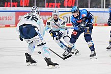 Eishockey, Herren, DEL, Saison 2025-2026, Spiel 44, ERC Ingolstadt - Dresdner Eislöwen, 27.01.2026