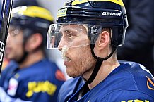ERC Ingolstadt vs Thomas Sabo Ice Tigers, Eishockey, DEL, Deutsche Eishockey Liga, Spieltag 49, 19.02.2017