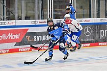 Eishockey, Frauen, DFEL, Saison 2023-2024, ERC Ingolstadt - ESC Planegg-Würmtal, 26.11.2023