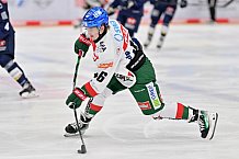 Eishockey, Herren, DEL, Saison 2024-2025, Spieltag 15, ERC Ingolstadt - Augsburger Panther, 03.11.2024
