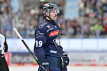 Eishockey, Herren, DEL, Saison 2024-2025, Spieltag 15, ERC Ingolstadt - Augsburger Panther, 03.11.2024