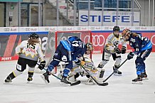 Eishockey, Frauen, DFEL, Saison 2024-2025, ERC Ingolstadt - Mad Dogs Mannheim, 23.11.2024