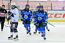 Eishockey, Frauen, DFEL, Saison 2026-2027, ERC Ingolstadt - Eisbären Juniors Berlin, 20.09.2026