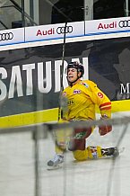 ERC Ingolstadt - Duesseldorfer EG, Eishockey, DEL, Deutsche Eishockey Liga, Spieltag 22, 19.11.2017
