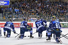 ERC Ingolstadt vs Krefeld Pinguine, DEL, Deutsche Eishockey Liga, Spieltag 44, 01.02.2019