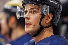 ERC Ingolstadt  - Grizzlys Wolfsburg, Eishockey, DEL, Deutsche Eishockey Liga, Spieltag 37, 13.01.2017